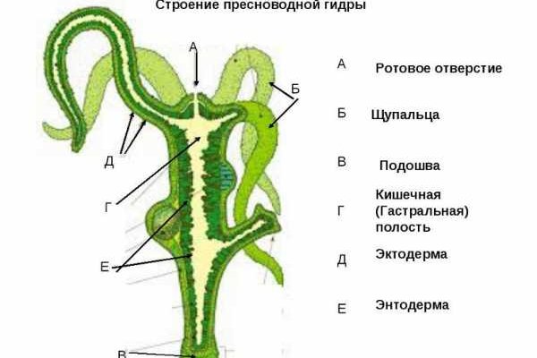 Кракен сайт в тор браузере