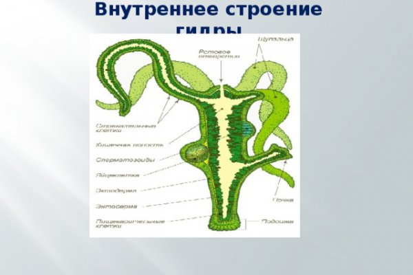 Кракен новое зеркало