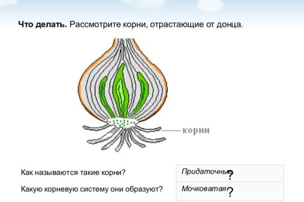 Кракен даркнет вход